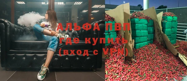 стаф Абаза