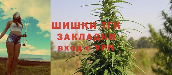 СК Абинск