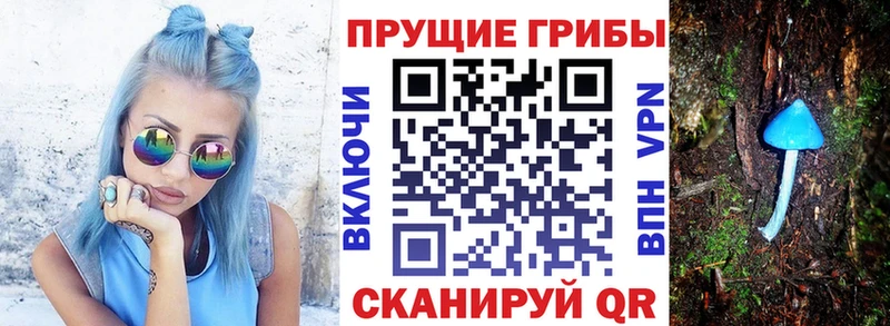 Псилоцибиновые грибы MAGIC MUSHROOMS Осташков